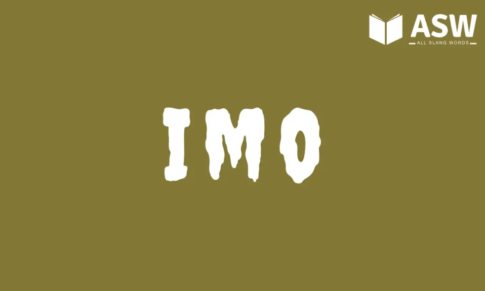 IMO Meaning